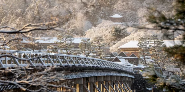 瞓身旅飛人劍華 Kim